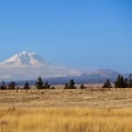 The Power of Community Involvement in Coalitions in Southwest Washington