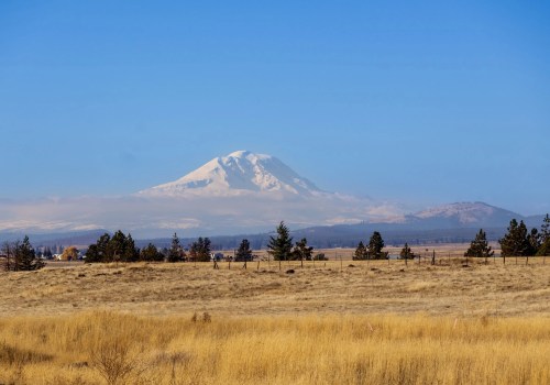 The Power of Community Involvement in Coalitions in Southwest Washington